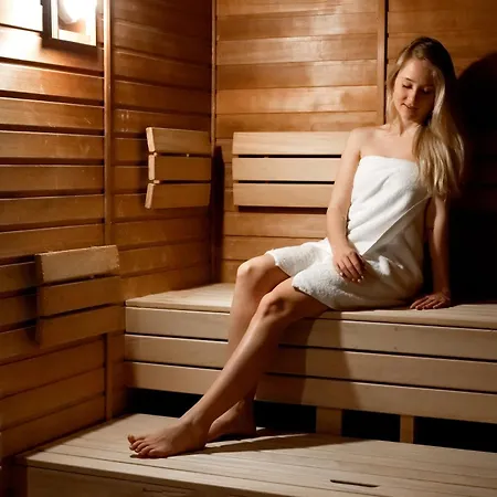 Ibis Styles Relax 3* Roznov pod Radhostem