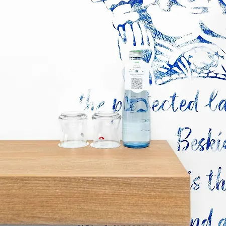 فندق Ibis Styles Relax Rožnov pod Radhoštěm